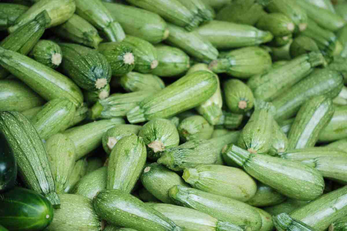 Come prepara gli involtini di zucchine