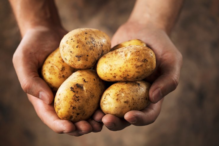 conservare correttamente le patate