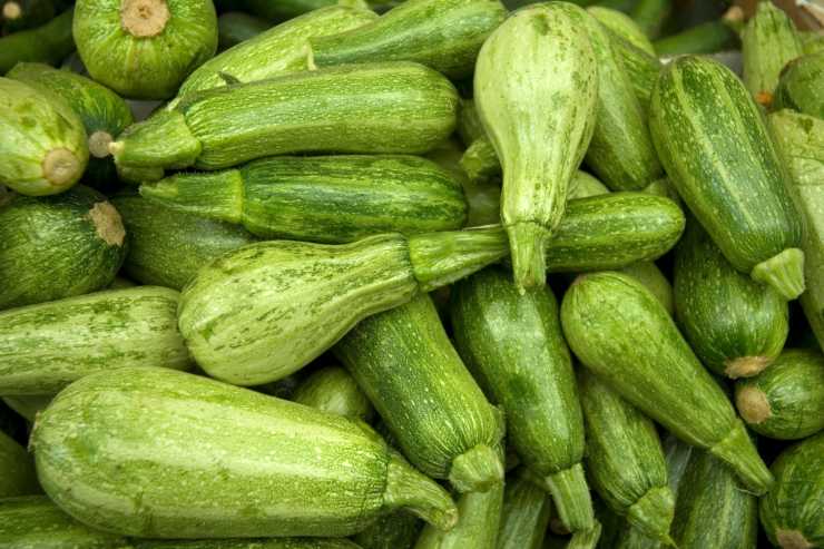 preparare lasagnetta di zucchine