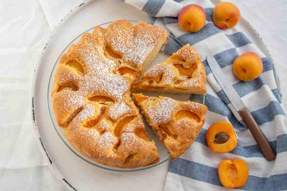 torta di albicocche morbida 