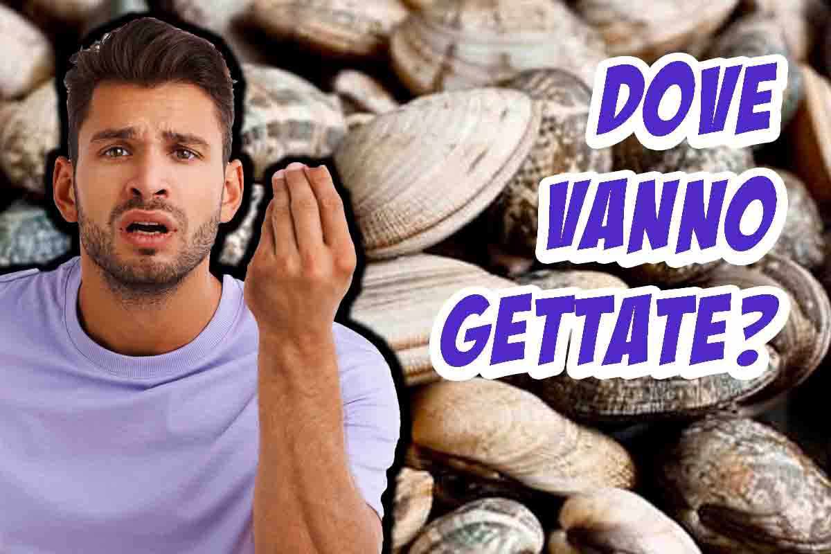 vongole dove si gettano i gusci